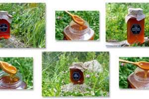 Мед высокогорный. В траве