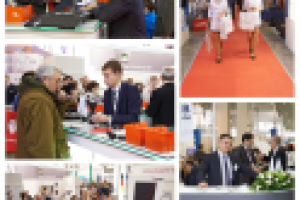 Выставка, работа сотрудников