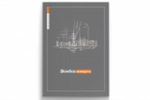 Годовой отчет "Донбассэнерго"