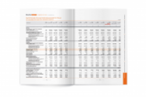 Годовой отчет "Донбассэнерго"