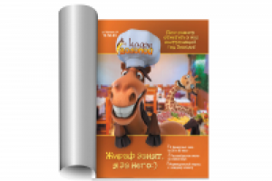 Рекламный модуль в журнале