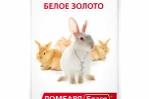 Плакат сети ломбардов "Благо"