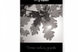 Плакат салона напольных покрытий "Дон-паркет"