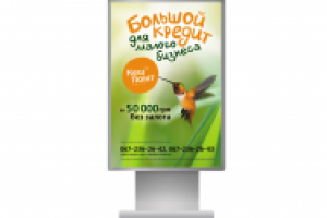 Ситилайт организации по микрокредитованию "Кэш поинт"