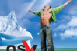 Ситилайт торговой организации