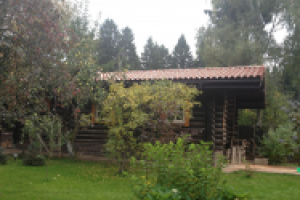 Баня рубленная 60кв.м