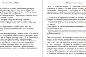 Финансовая отчетность (Обязанности директоров)