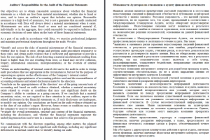 Аудиторский отчет (часть)