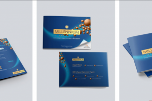 Маркетинг-кит для Millennium
