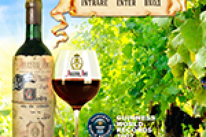 Сайт-каталог для международной винной компании