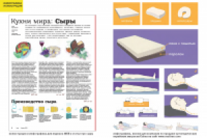 инфографика