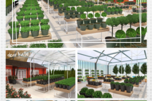 Визуализация павильона садового центра