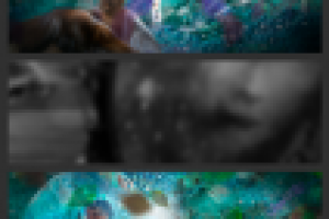 Работа 3116907