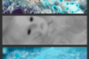 Работа 3116900