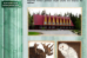 Сайт гостиницы "МИСНЭ"