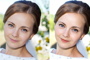 Работа 3245846