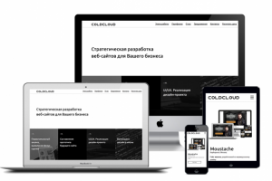 Coldcloud - Веб-студия, Мурманск