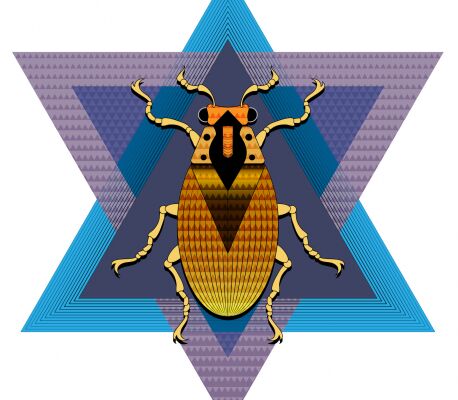 img3830590.png