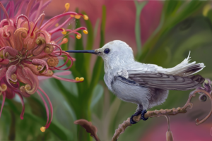 Отрисовка изображения в растре