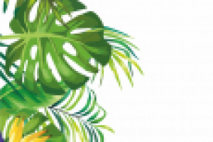 Тропические листья