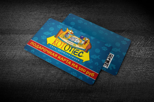 Подарочные карты для сети магазинов "КотоПёс"