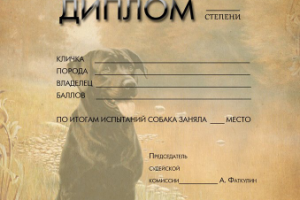 Работа 3827486