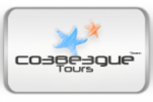 Работа 1261981