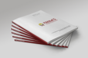 РАНХиГС Brandbook