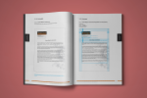 Дверной базар Brandbook