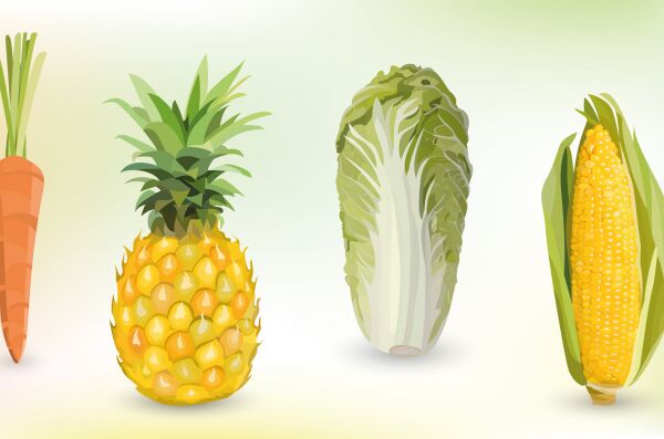 img3811029.png