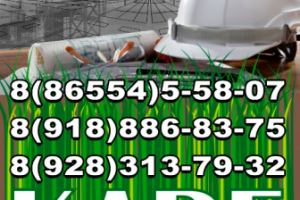 Работа 3825937