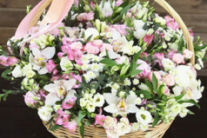 Пост. Тема - флористика, уход за домашними растениями.