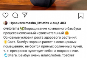 Пост. Тема - флористика, уход за домашними растениями.