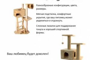 Рекламные тексты.