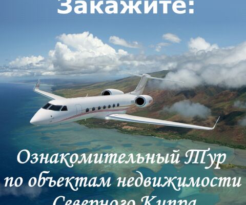 img3151418.png
