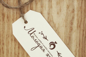 Логотип для студии Молодая хурма