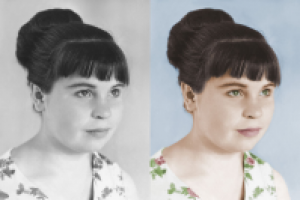 Работа 2856498