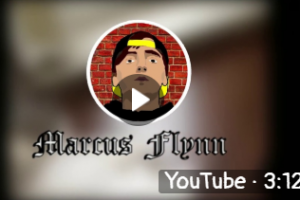 Видео про моего кота по имени Борис.