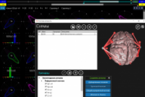 Мозговая активность