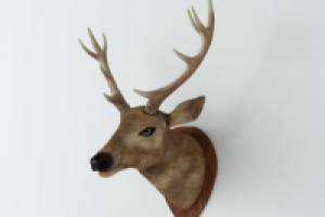 Голова Оленя