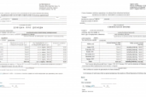 [UKR>ENG] Справка для получения Шенгенской визы (стипендия)