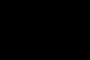 Отрисовка изображения