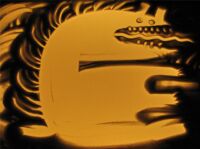 img582890.png