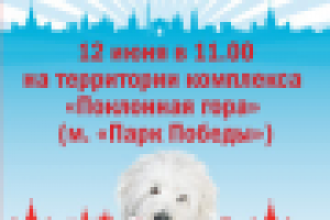 дизайн баннера к фестивалю прессы (День города)