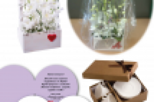 Разработка подарков  к 8 марта для АиФ