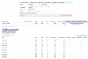 Охранное агенство (ЧОП Амон)