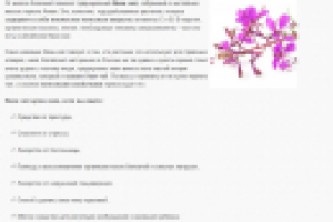 Рассылка для магазина эко-товаров