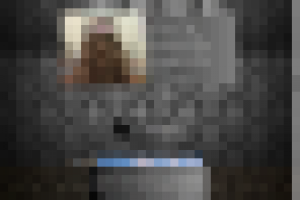 Сайт под ключ.