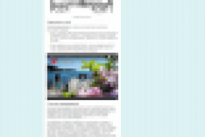 Родендроны