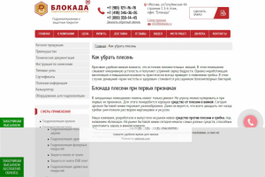 плесень реклама фирмы